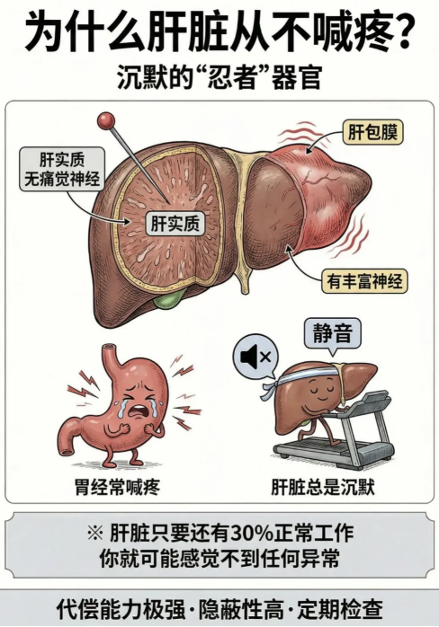 从肝炎到肝癌，真的只有三步！济南中医肝病医院孙可主任为您详解