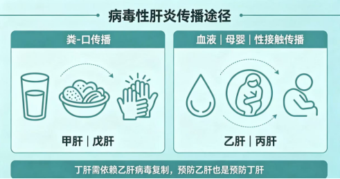警惕"沉默的杀手" | 病毒性肝炎，这些知识您一定要知道！