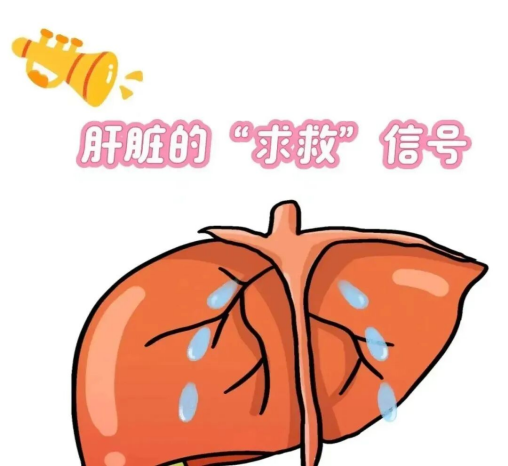 中西医结合，抓住肝病逆转黄金期：济南中医肝病医院，助您重获“肝”净人生