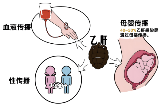 济南中医肝病医院带您科学认知乙肝，共筑健康防线